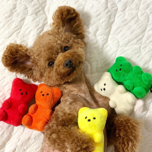 Cute Bear Cute Pet Sounding Toy - Toys Ace