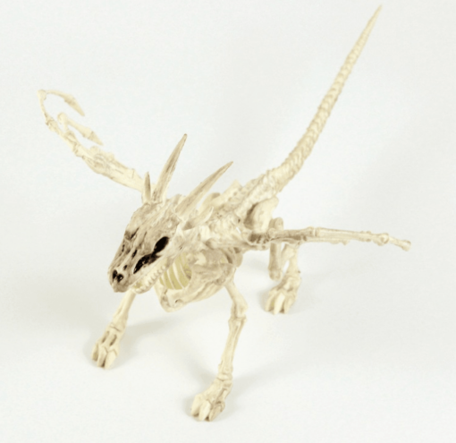 Plastic animal skull skeleton - Toys Ace