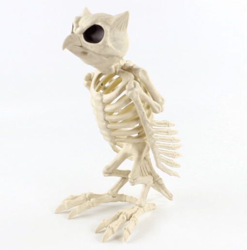 Plastic animal skull skeleton - Toys Ace