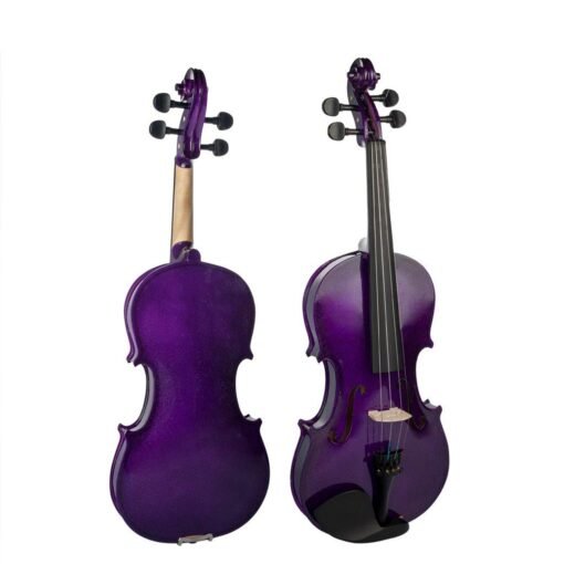 NAOMI Full Size 4/4 Basswood Violin Ebony Fingerboard KIT+Bridge+Case+Bow