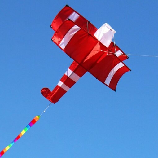 Dark Red Colorful 3D Aircraft Kite With Handle and Line Good Flying Gift