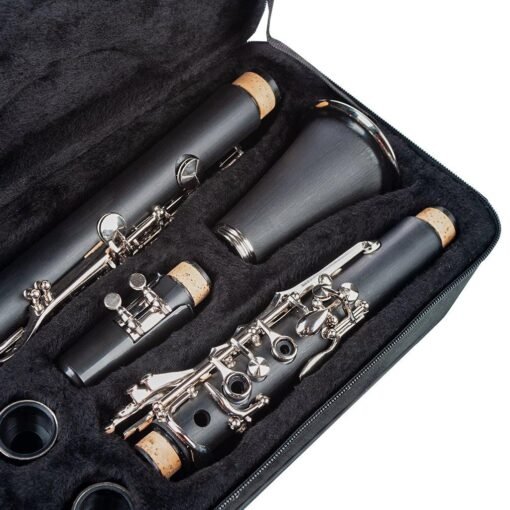 NAOMI Professional Bb 17-Key Clarinet ABS Clarinet Cupronickel Plated Nickel Kit W/ Clarinet+Reeds+Strap+Case+Components
