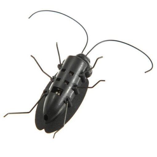 NEW Educational Solar powered Cockroach Toy Gadget Gift