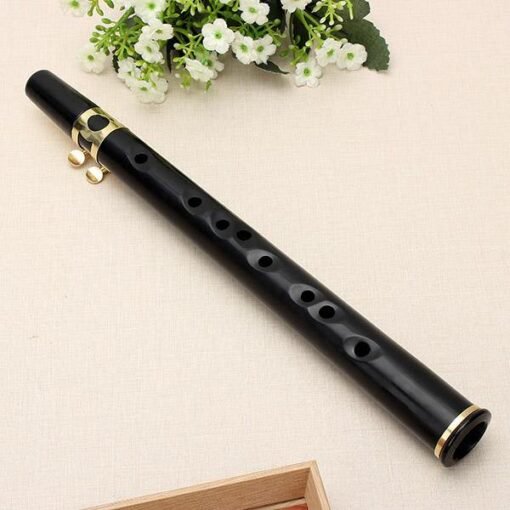 Black MINI Pocket Saxophone Alto C Tune Black Little Sax Musical Instrument